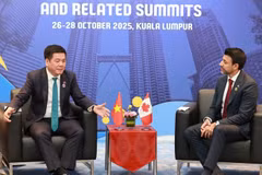 越南工贸部长阮鸿延与加拿大国际贸易部长曼尼德·西杜举行了双边会晤。图自越通社