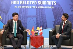 越南工贸部长阮鸿延与加拿大国际贸易部长曼尼德·西杜举行了双边会晤。图自越通社