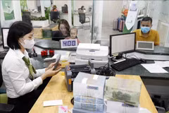 附图。图自越通社