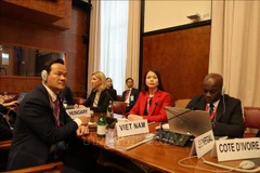 越南外交部副部长阮明姮出席会议。图自越通社