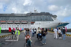 国际邮轮抵达越南真云港口。图自越通社