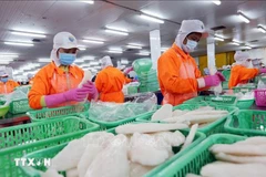 附图。图自越通社