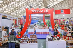 嘉来省的展区。图自越通社