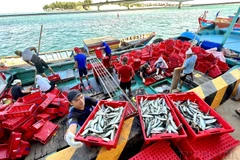 广治省渔民在出海归来后将渔获物运上岸。图自越通社