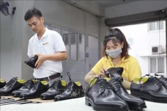 附图。图自越通社