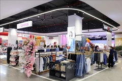 附图。图自越通社