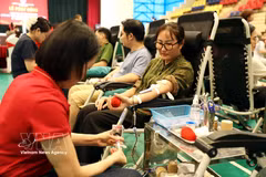 宣光省启动了“无偿献血”活动，响应2026年人道主义月计划。图自越通社
