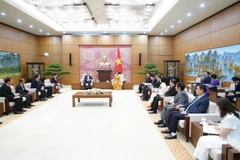 越南国会副主席阮氏清会见老越友好协会代表团。图自人民代表报