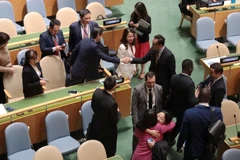 许多联合国会员国前来祝贺越南以高票当选。图自越通社