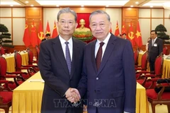越共中央总书记苏林会见中国全国人大常委会委员长赵乐际。图自越通社