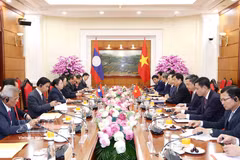越共中央组织部部长与老挝人民革命党中央组织部部长举行会谈。图自越通社