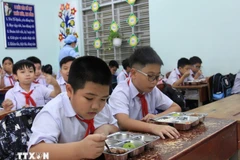 附图。图自越通社