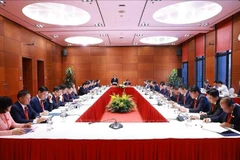 与会代表分组讨论。图自越通社