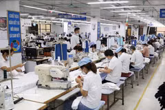 附图。图自越通社