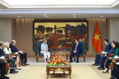 双方会见现场。图自越通社