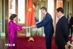 越南驻巴拉圭大使吴明月向巴总统递交国书。图自越通社
