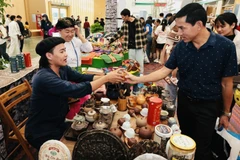 附图。图自越通社