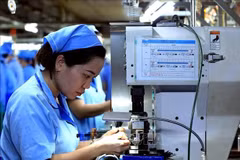 附图。图自越通社