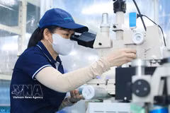 附图。图自越通社