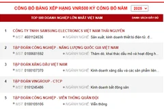 越南500强企业榜单发布。图自组委会
