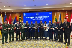 出席会议的越南代表团。图自越通社