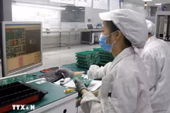 附图。图自越通社