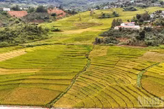 新广义省地域辽阔，从高山、边境到海岛，山海相连，风光壮丽，为将旅游业打造成为新阶段经济增长的重要动力奠定了坚实基础。图自人民报