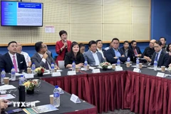 与会代表在会上展开讨论。图自越通社