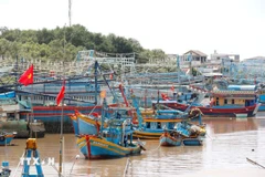 附图。图自越通社