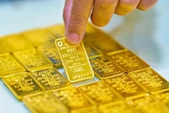 附图。图自越通社
