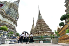 附图。图自越通社