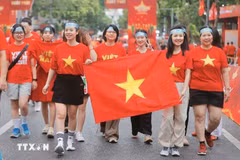 附图。图自越通社