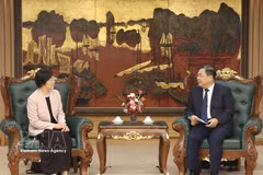政府常务副总理范家足在5月27日下午会见亚投行行长邹加怡。图自越通社