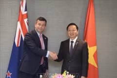 政府副总理陈红河礼节性拜会新西兰议会议长格里·布朗利。图自越通社