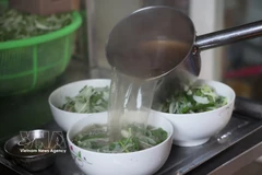 附图。图自越通社