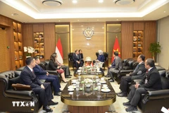 双方会见现场。图自越通社