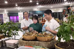 玉灵参及其产品展示区。图自越通社