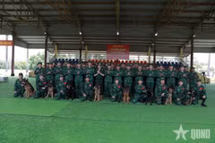 越南边防部队派出1支使用搜救犬的专业搜救队，共10名干部战士和8只搜救犬。图自《人民军队报》