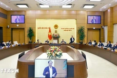 12月24日上午，国会常务委员会审议了2025年11月国会民意工作报告。图自越通社