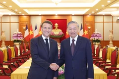 越共中央总书记苏林会见法国总统马克龙。图自越通社