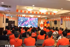 在日越南侨胞观看大屏幕直播的越南国庆80周年庆典。图自越通社