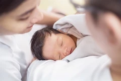 附图 图自互联网