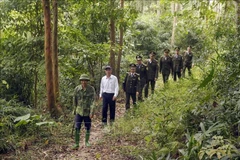 省林政局与立石县林政处和当地人民开展巡山护林工作。图自越通社