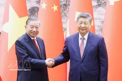 越南共产党中央委员会总书记、越南社会主义共和国主席苏林与中国共产党中央委员会总书记、中华人民共和国主席习近平。图自越通社