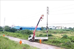 海阳省电力公司为电线杆系统安装防雷设备。图自越通社