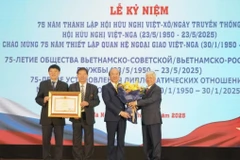 杜文战代表党和国家领导人向越俄友好协会颁发政府总理奖状。图自越通社