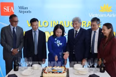 越南国家副主席武氏映春（左三）出席河内-米兰新航线开通仪式。图自越通社