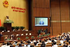 越南财政部长吴文俊在第十六届第一次会议上就国会代表提出有关经济社会发展计划的一些问题作出说明。图自越通社