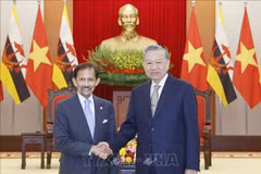 越共中央总书记苏林（右）与文莱苏丹哈桑纳尔（左）。图自越通社