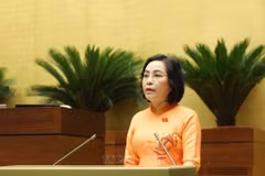越南国会副主席阮氏清作关于缩短第十五届国会和2021-2026年各级人民议会任期的呈文。图自越通社